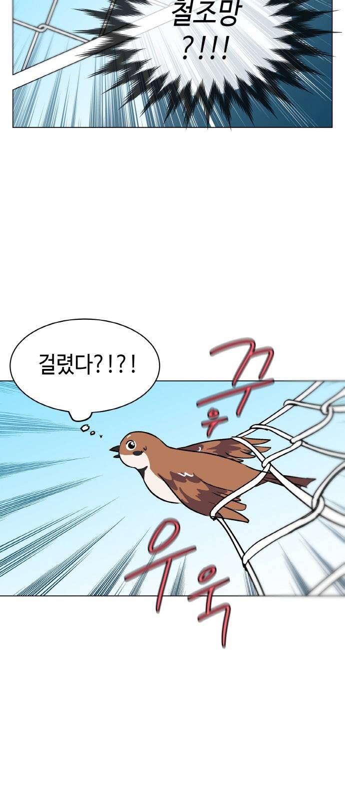 참새는 새!신부 1화 36