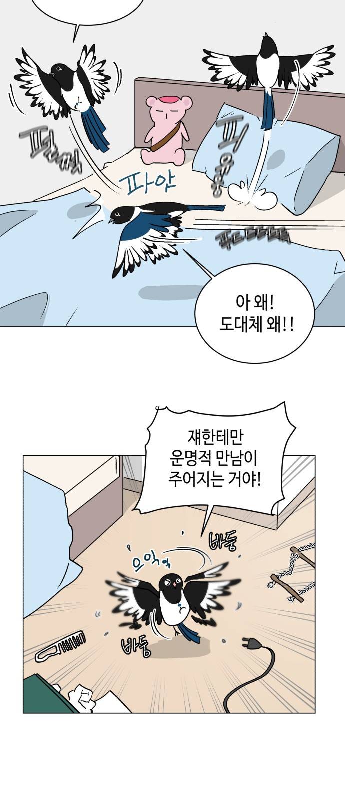 참새는 새!신부 12화 5