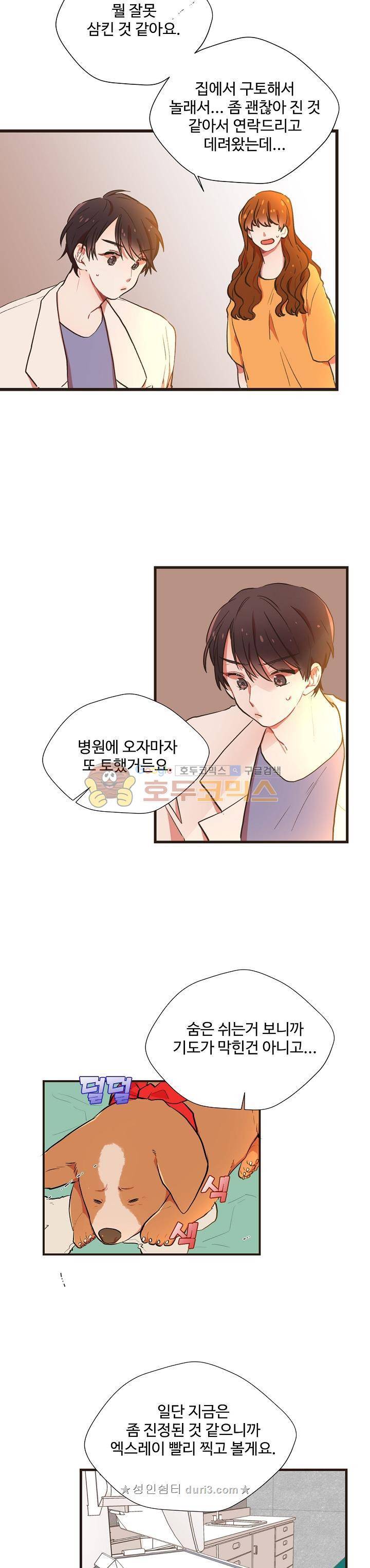 멍멍냥냥 53화 4