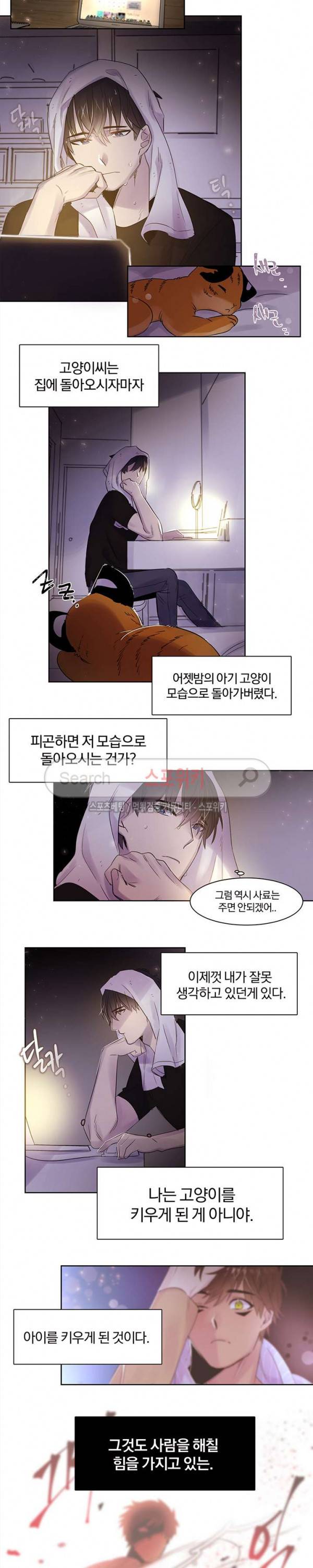 골판지 상자 안 고양이씨 4화 4