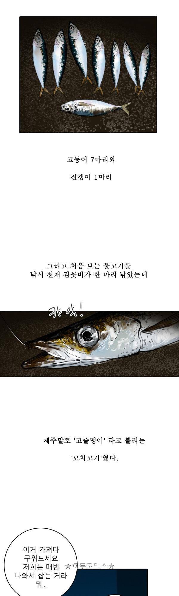 100cc - 짧은 제주 이야기 (6) 2