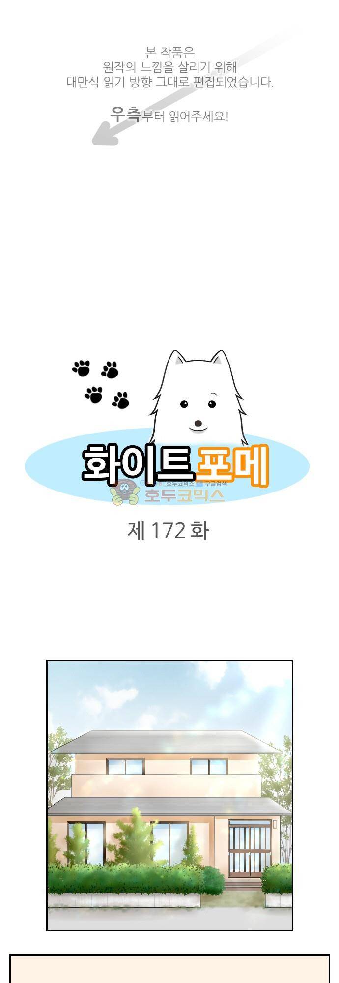화이트 포메 172화 1