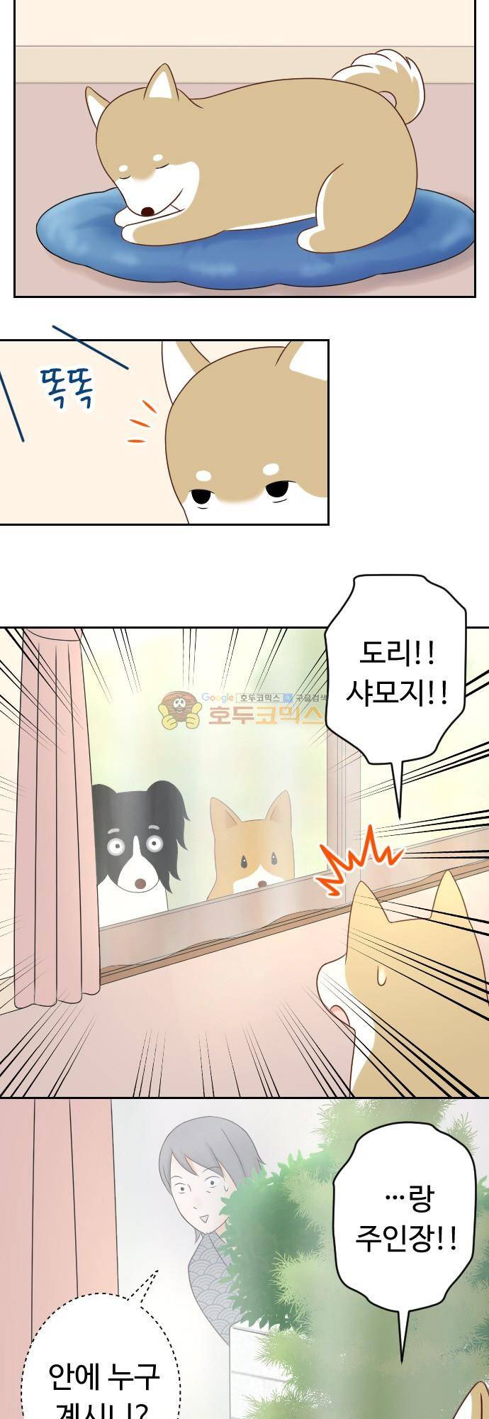 화이트 포메 172화 2