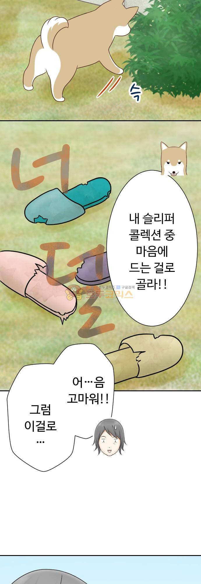 화이트 포메 172화 5