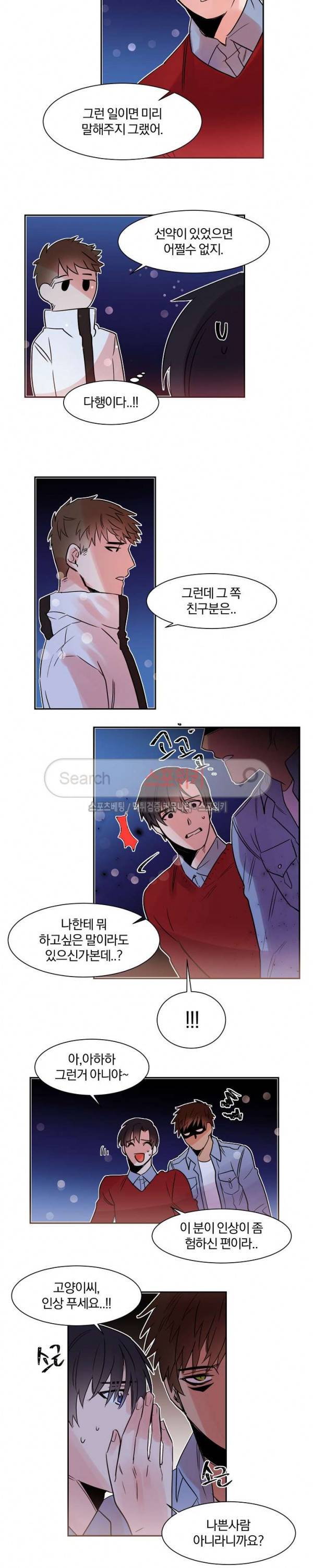 골판지 상자 안 고양이씨 11화 5