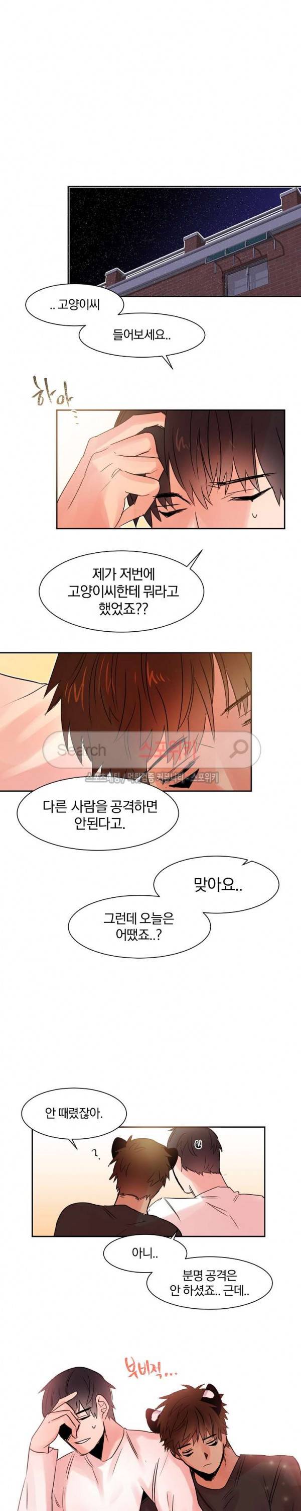 골판지 상자 안 고양이씨 11화 11
