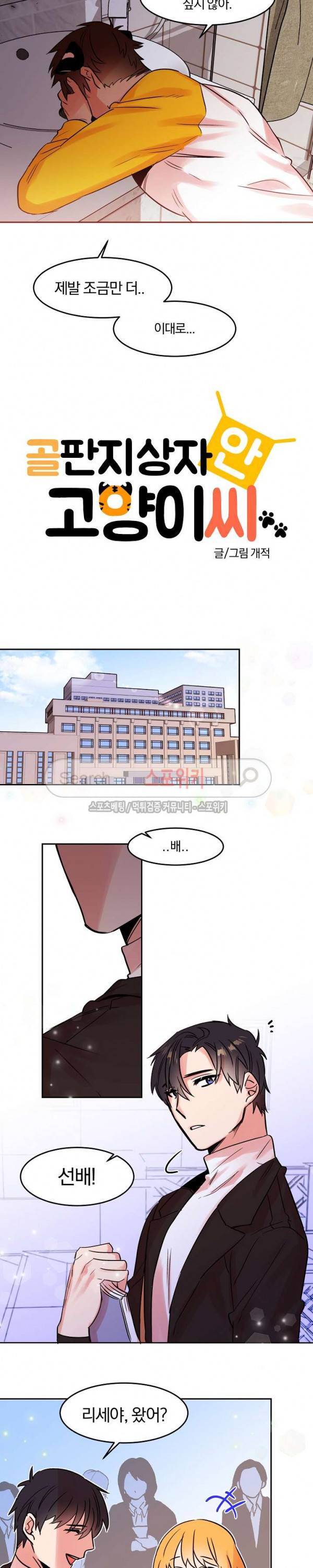 골판지 상자 안 고양이씨 21화 2