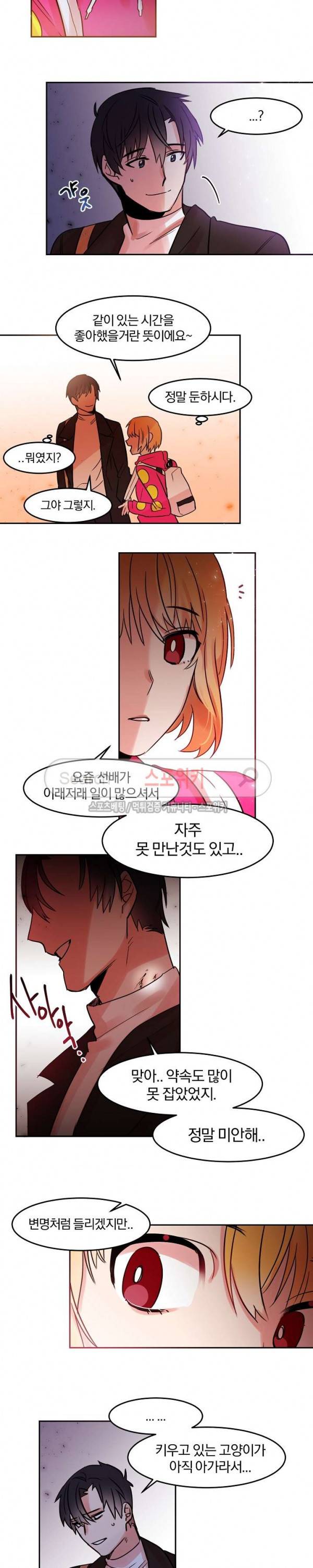 골판지 상자 안 고양이씨 21화 4