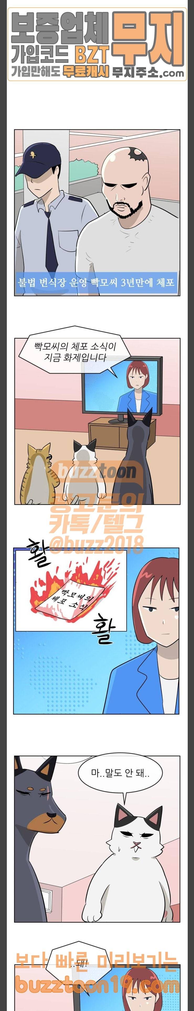 냥하무인 48화 4