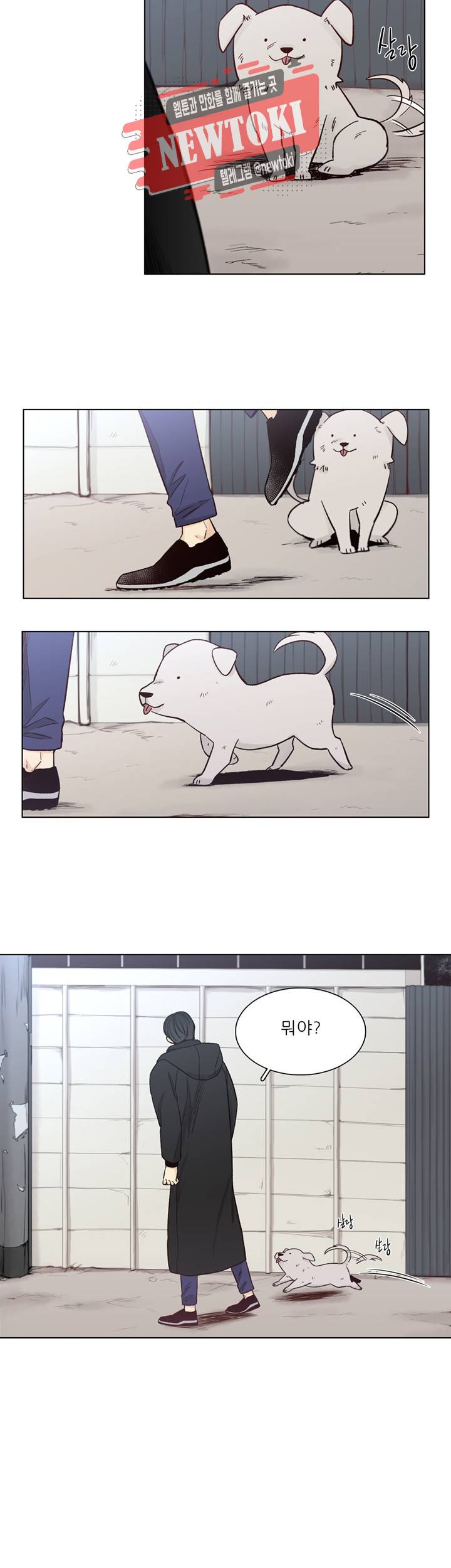 나좋다 37화 6