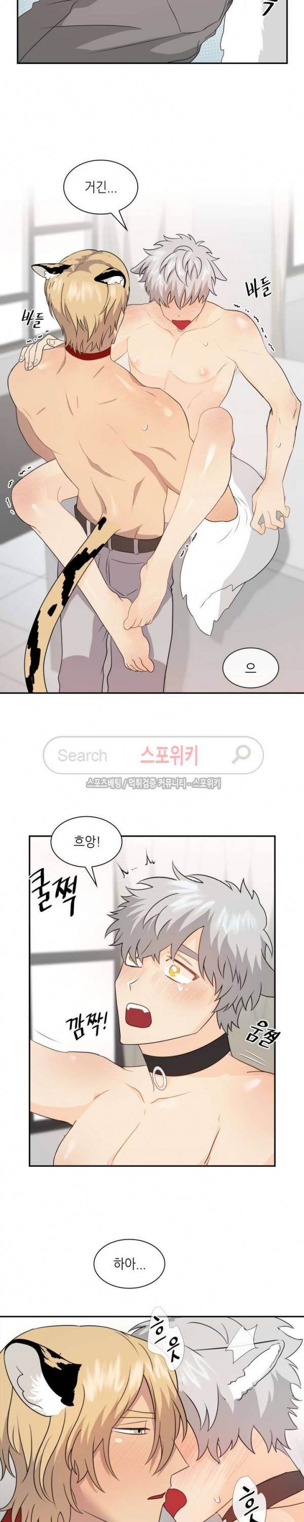 동물의 왕국 시즌2 16화 19