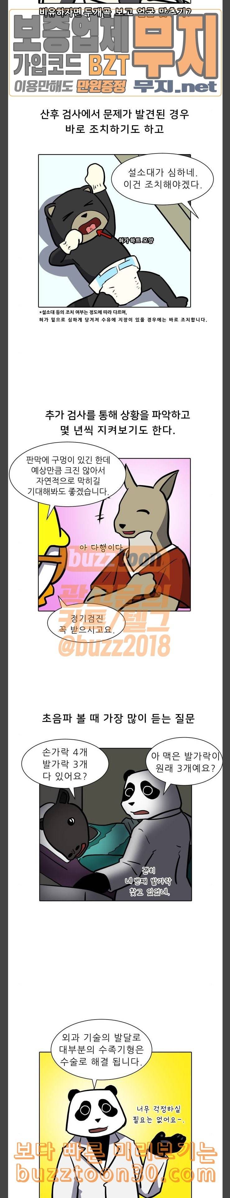닥터앤닥터 육아일기 40 기형 검사 7