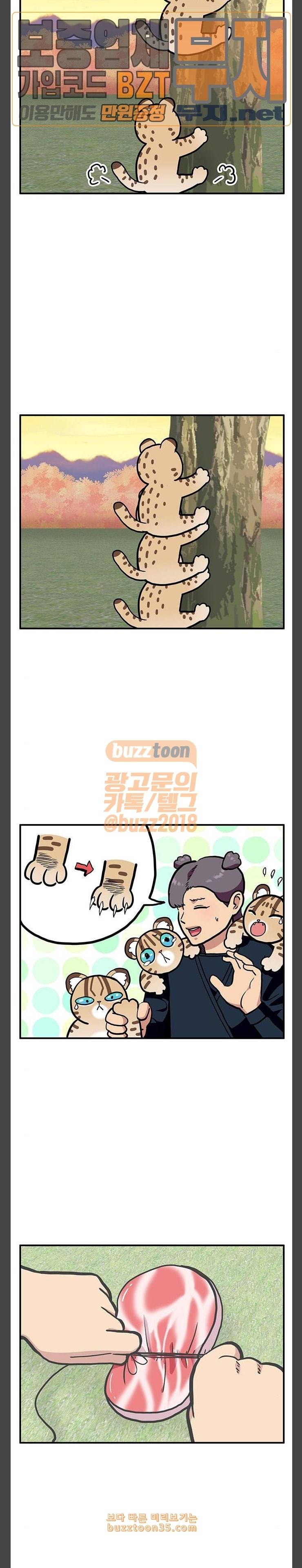 만물의 영장 35화 삵삵삵 1 17