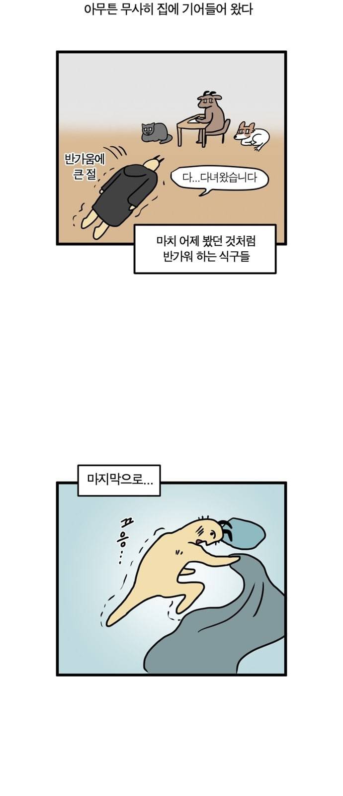 모죠의 일지 횡단 열차 타는 만화 8 14