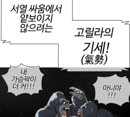 싸움독학 23화 공포의 법칙 32