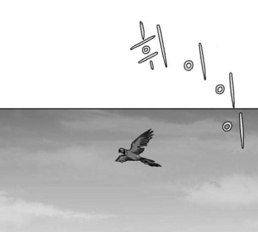 앵무살수 15화 5