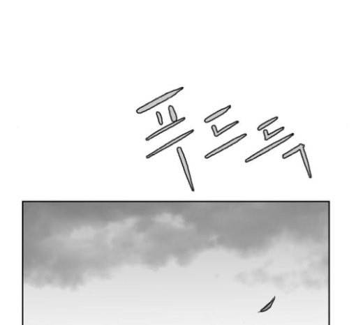 앵무살수 15화 10