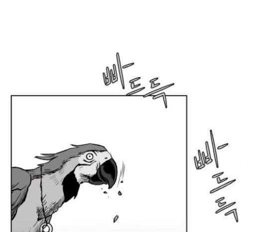 앵무살수 15화 137