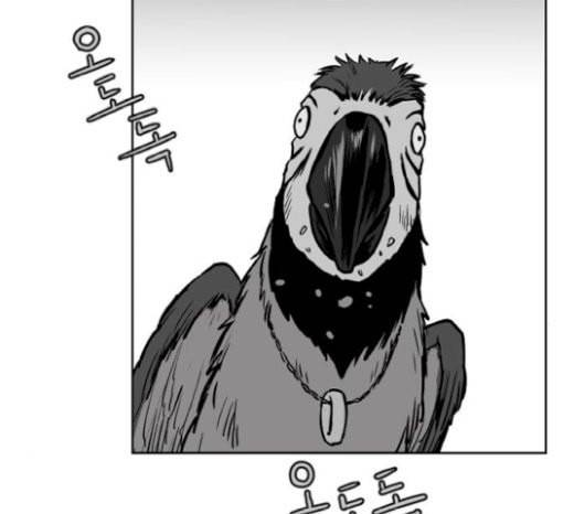 앵무살수 15화 152