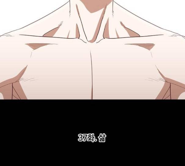 더 복서 37화 삶 11