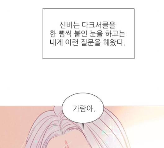 신비 21화 9