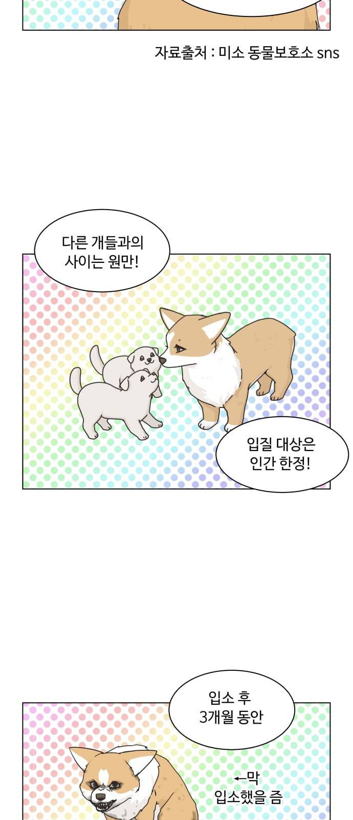 개를 낳았다 시즌2 8화 3