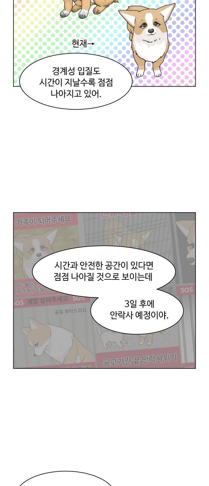 개를 낳았다 시즌2 8화 4