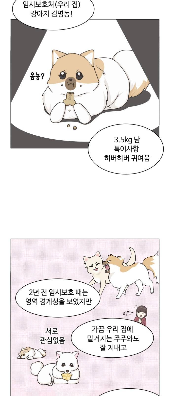 개를 낳았다 시즌2 8화 5