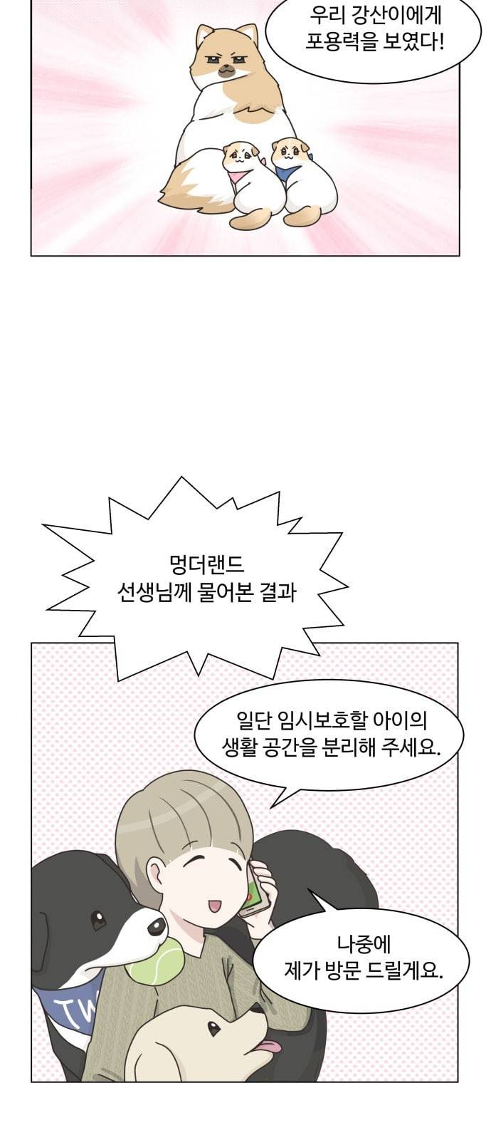 개를 낳았다 시즌2 8화 6