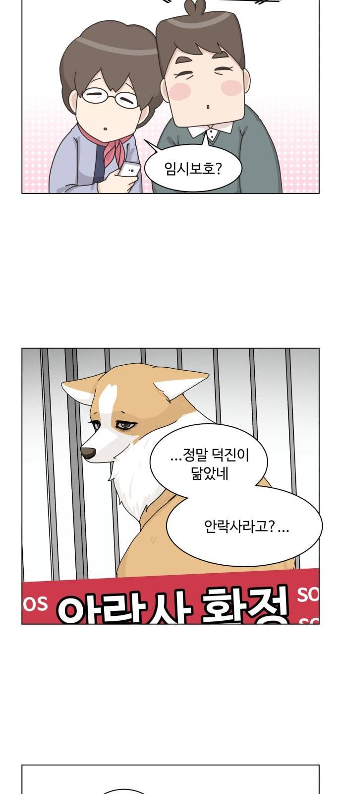개를 낳았다 시즌2 8화 9