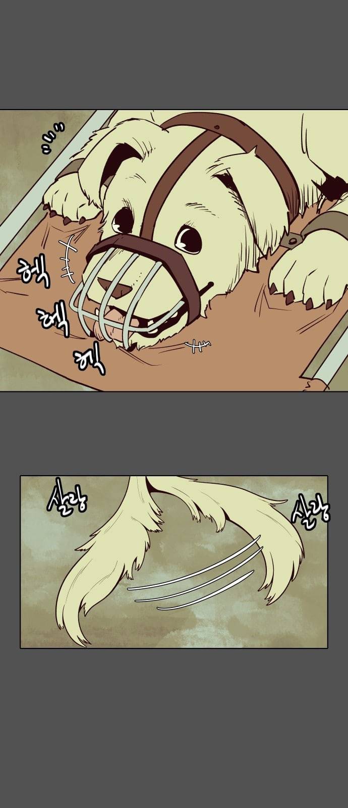 정보전사 202 음지의 법도 2 12