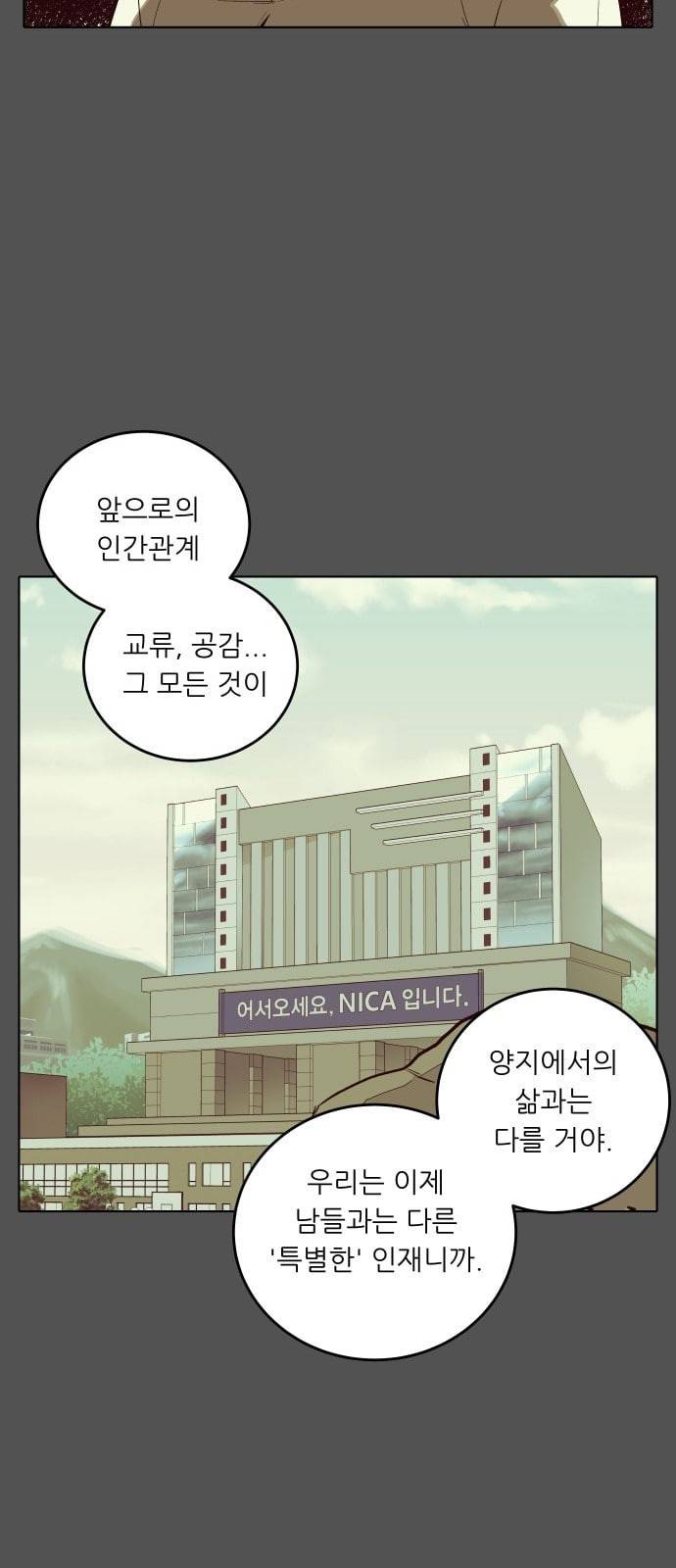 정보전사 202 음지의 법도 2 33