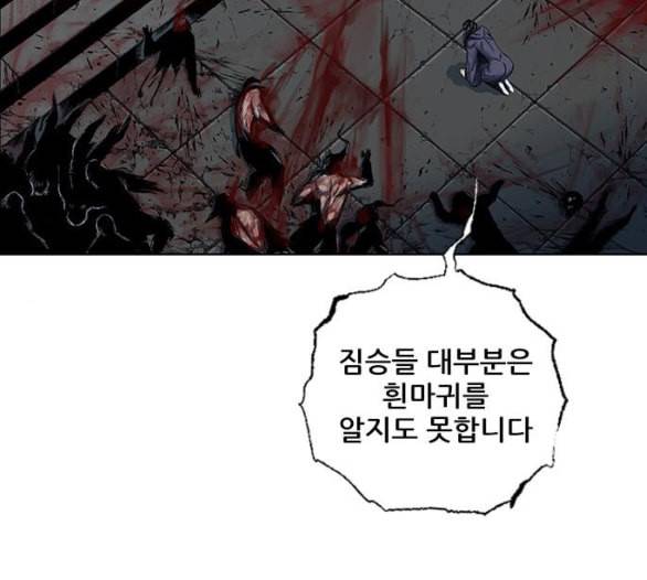 호랑이형님 2부 191화 아린의 범 19