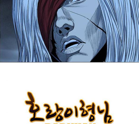 호랑이형님 2부 191화 아린의 범 39