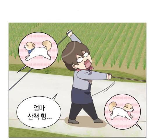 개를 낳았다 시즌2 14화 7