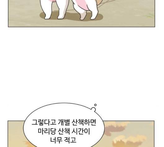 개를 낳았다 시즌2 14화 11