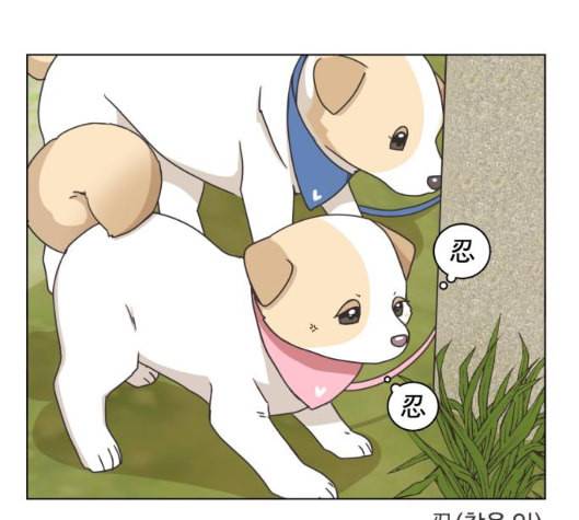 개를 낳았다 시즌2 14화 18