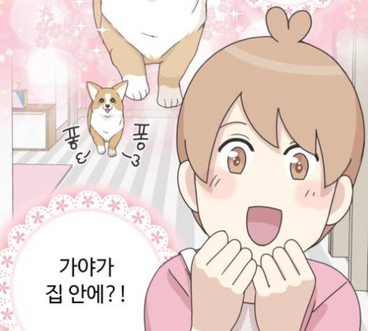 개를 낳았다 시즌2 19화 4