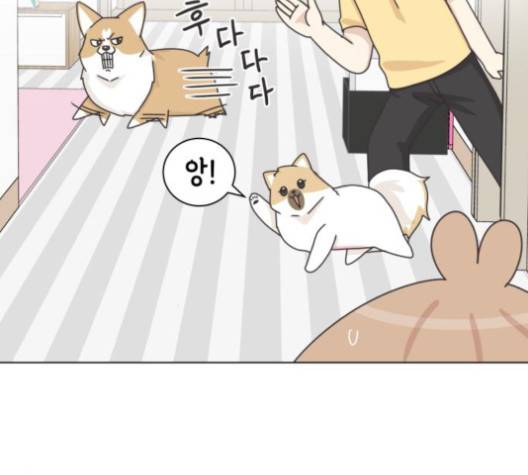 개를 낳았다 시즌2 19화 6