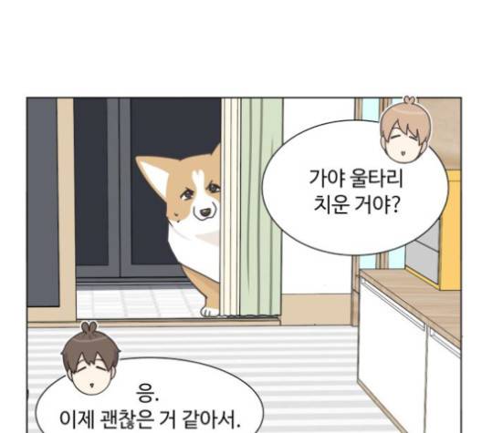 개를 낳았다 시즌2 19화 7