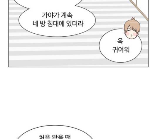 개를 낳았다 시즌2 19화 8