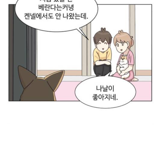 개를 낳았다 시즌2 19화 9