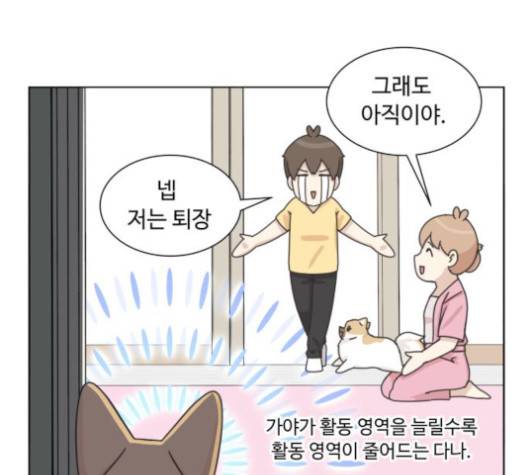 개를 낳았다 시즌2 19화 11