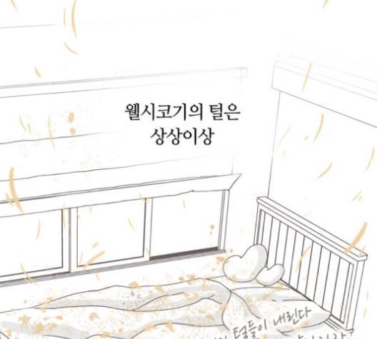 개를 낳았다 시즌2 19화 16