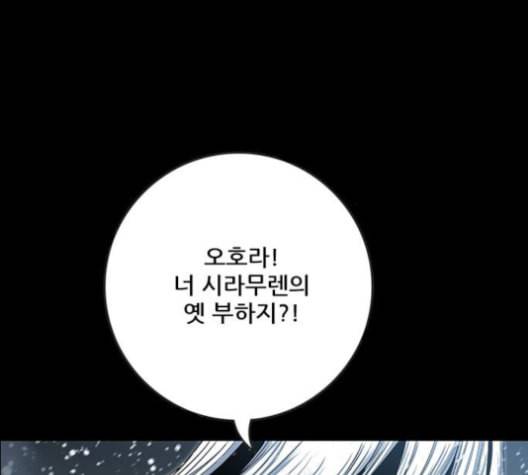 호랑이형님 2부 199화 패잔병 28