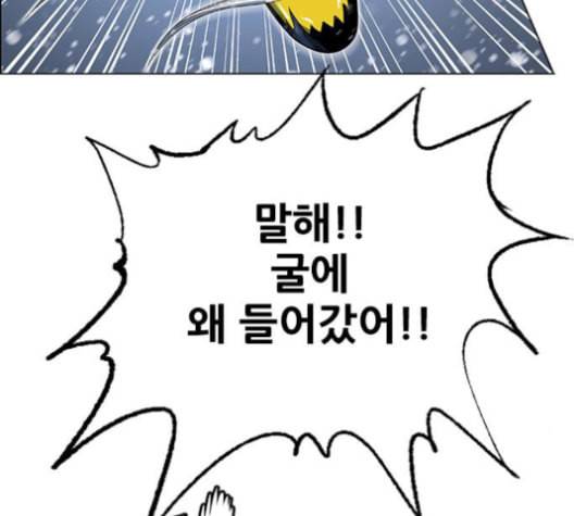호랑이형님 2부 199화 패잔병 61