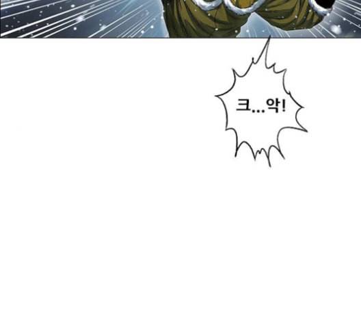 호랑이형님 2부 199화 패잔병 94