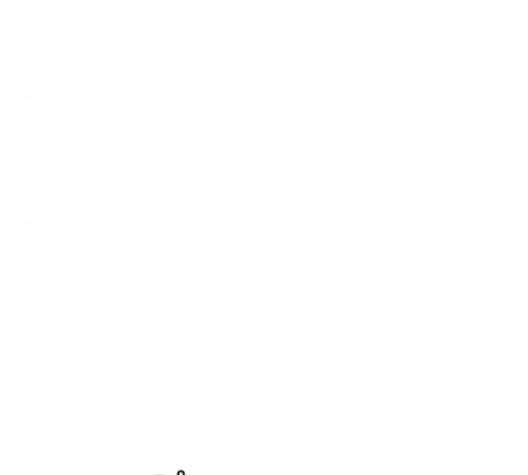 호랑이형님 2부 199화 패잔병 122