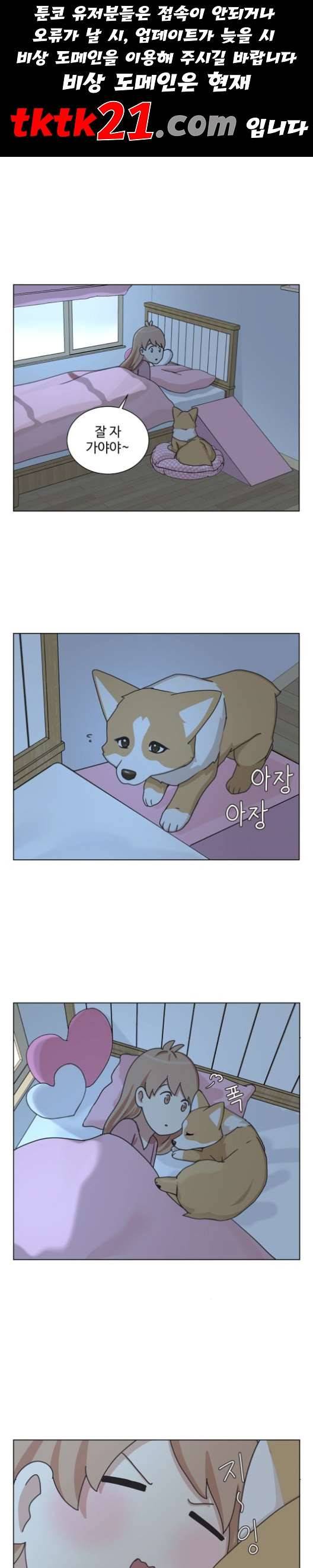 개를 낳았다 시즌2 23화 1