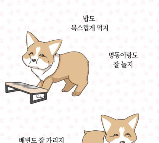 개를 낳았다 시즌2 23화 3